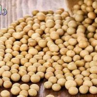 مکمل پروتئین سویا