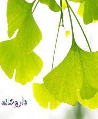 درمان اختلال نعوظ با روشهای طبیعی