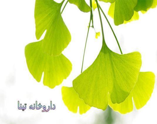 درمان اختلال نعوظ با روشهای طبیعی و گیاهان دارویی